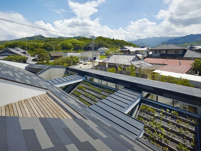 Японские хитрости: дом с огородом на крыше