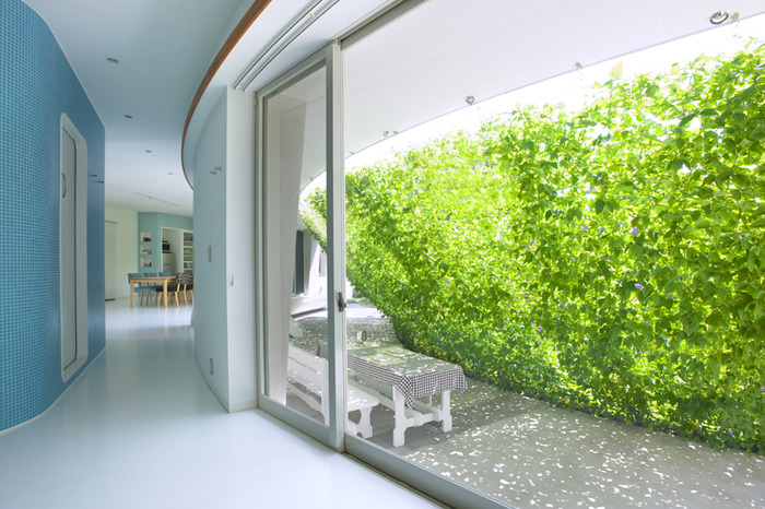 Японские хитрости: дом с зеленоватой стенкой