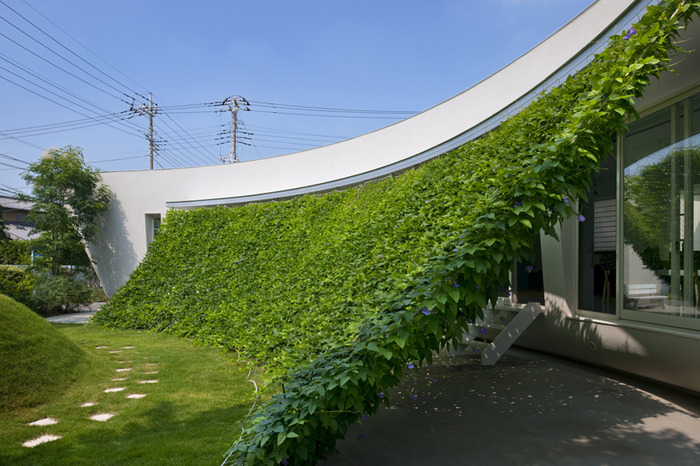 Японские хитрости: дом с зеленоватой стенкой