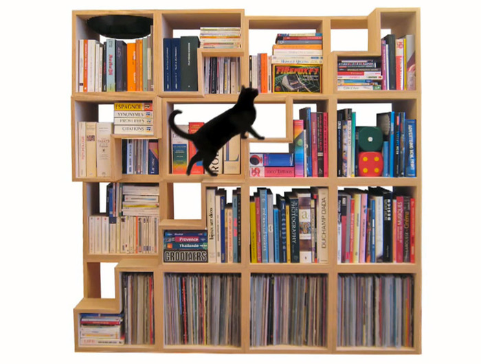 Библиотека для кота