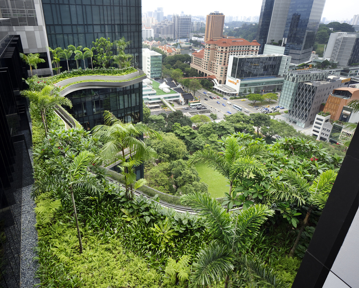 Умопомрачительный парк-отель в Сингапуре